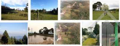 Residential Land For Sale in Canela, Brazil