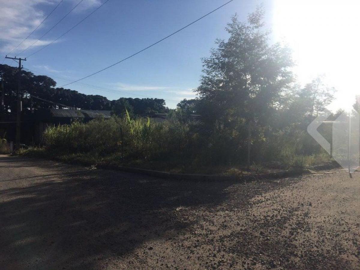 Picture of Residential Land For Sale in Bento Gonçalves, Rio Grande do Sul, Brazil