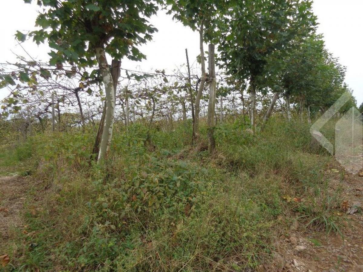 Picture of Residential Land For Sale in Monte Belo Do Sul, Rio Grande do Sul, Brazil