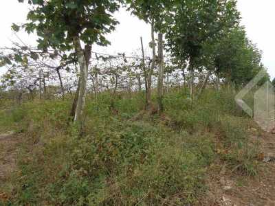 Residential Land For Sale in 