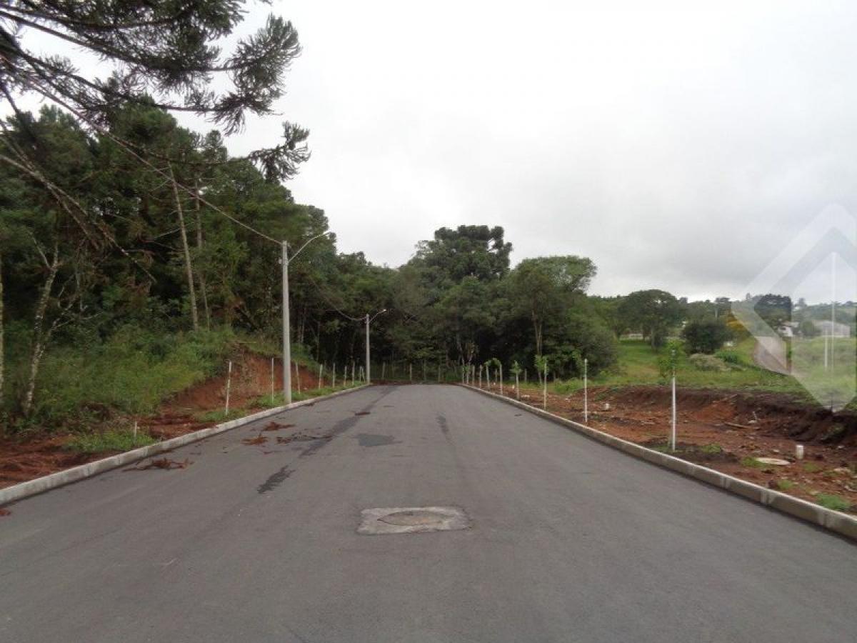 Picture of Residential Land For Sale in Garibaldi, Rio Grande do Sul, Brazil