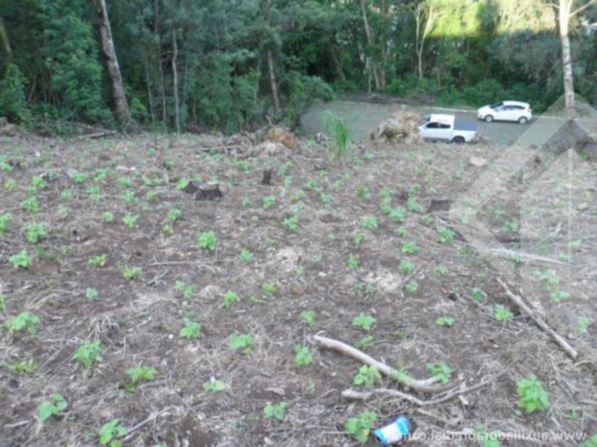 Picture of Residential Land For Sale in Carlos Barbosa, Rio Grande do Sul, Brazil