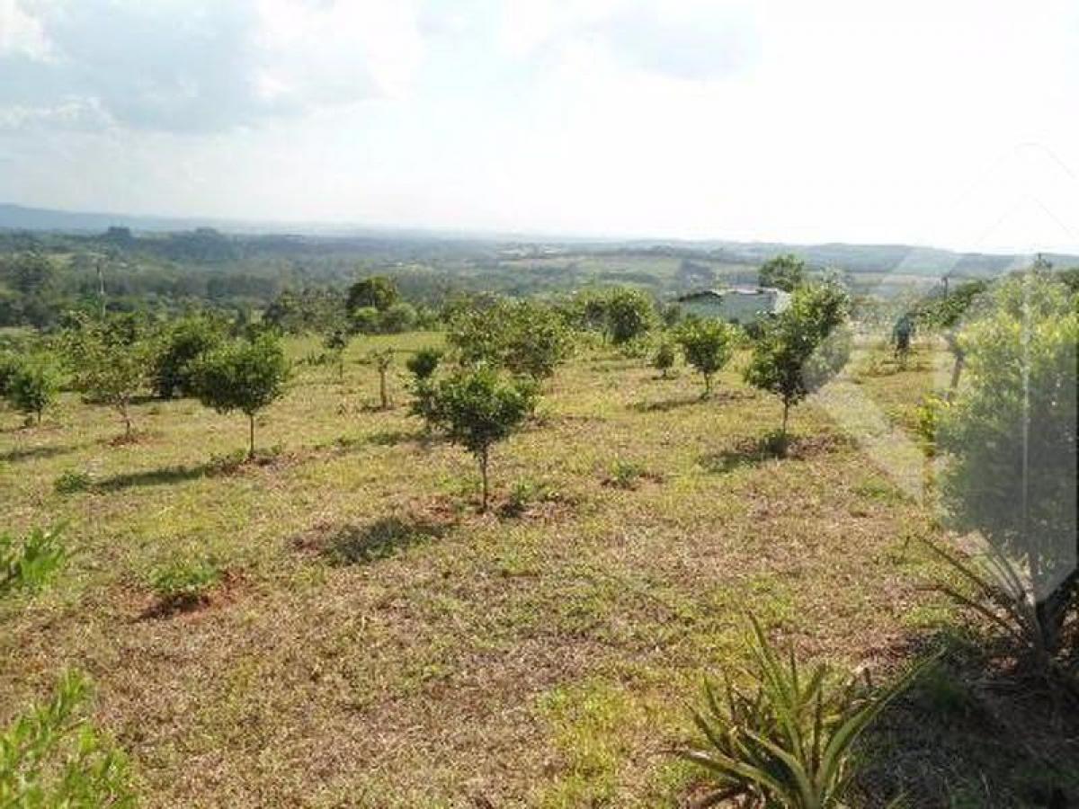 Picture of Farm For Sale in Novo Hamburgo, Rio Grande do Sul, Brazil