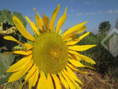 Residential Land For Sale in Rio Grande Do Sul, Brazil