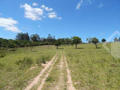 Farm For Sale in Rio Grande Do Sul, Brazil