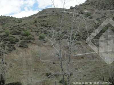 Residential Land For Sale in Viamao, Brazil