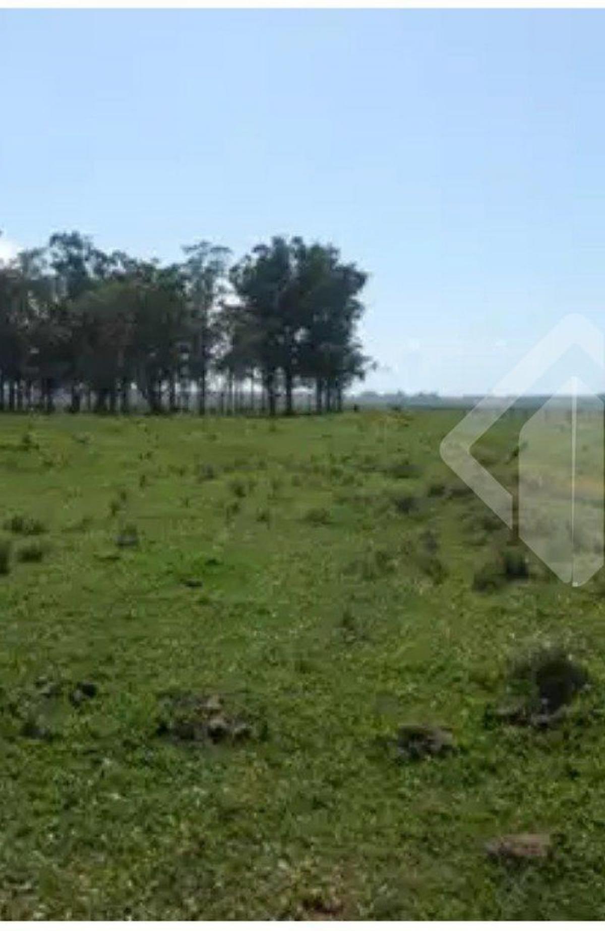 Picture of Farm For Sale in Viamao, Rio Grande do Sul, Brazil