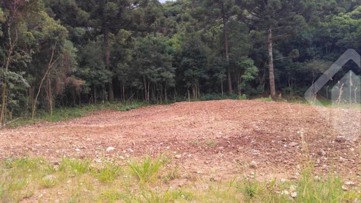 Picture of Residential Land For Sale in Garibaldi, Rio Grande do Sul, Brazil