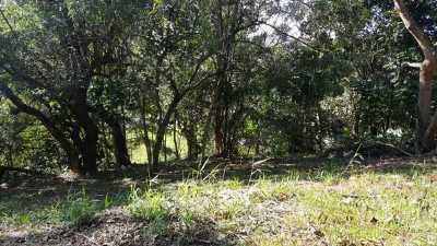 Residential Land For Sale in Cotia, Brazil