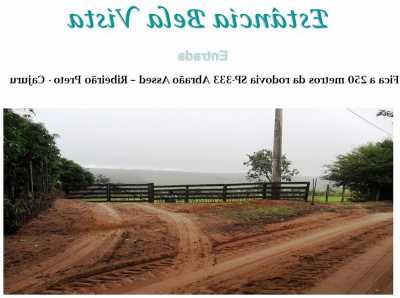 Farm For Sale in Cajuru, Brazil