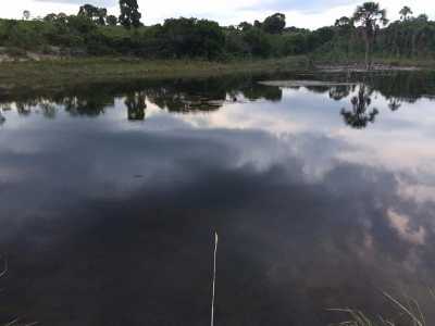 Farm For Sale in Goias, Brazil