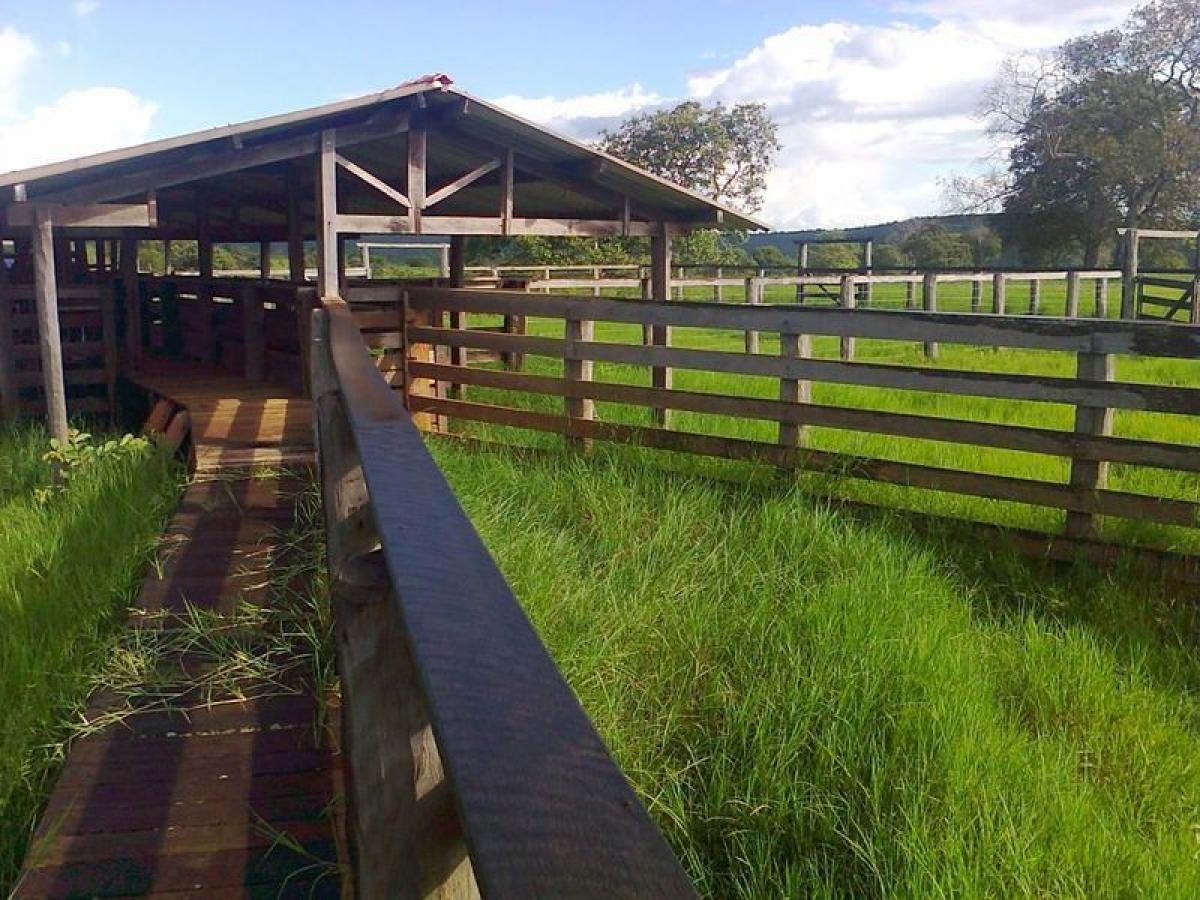 Picture of Farm For Sale in Mato Grosso Do Sul, Mato Grosso do Sul, Brazil