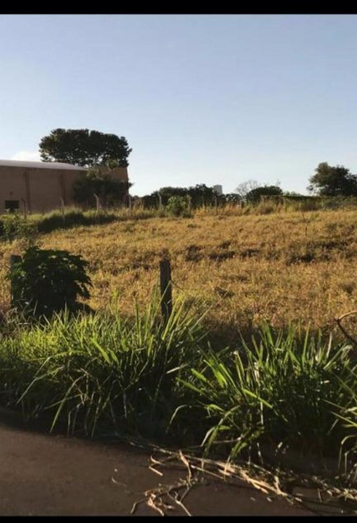 Picture of Residential Land For Sale in Ipigua, Sao Paulo, Brazil