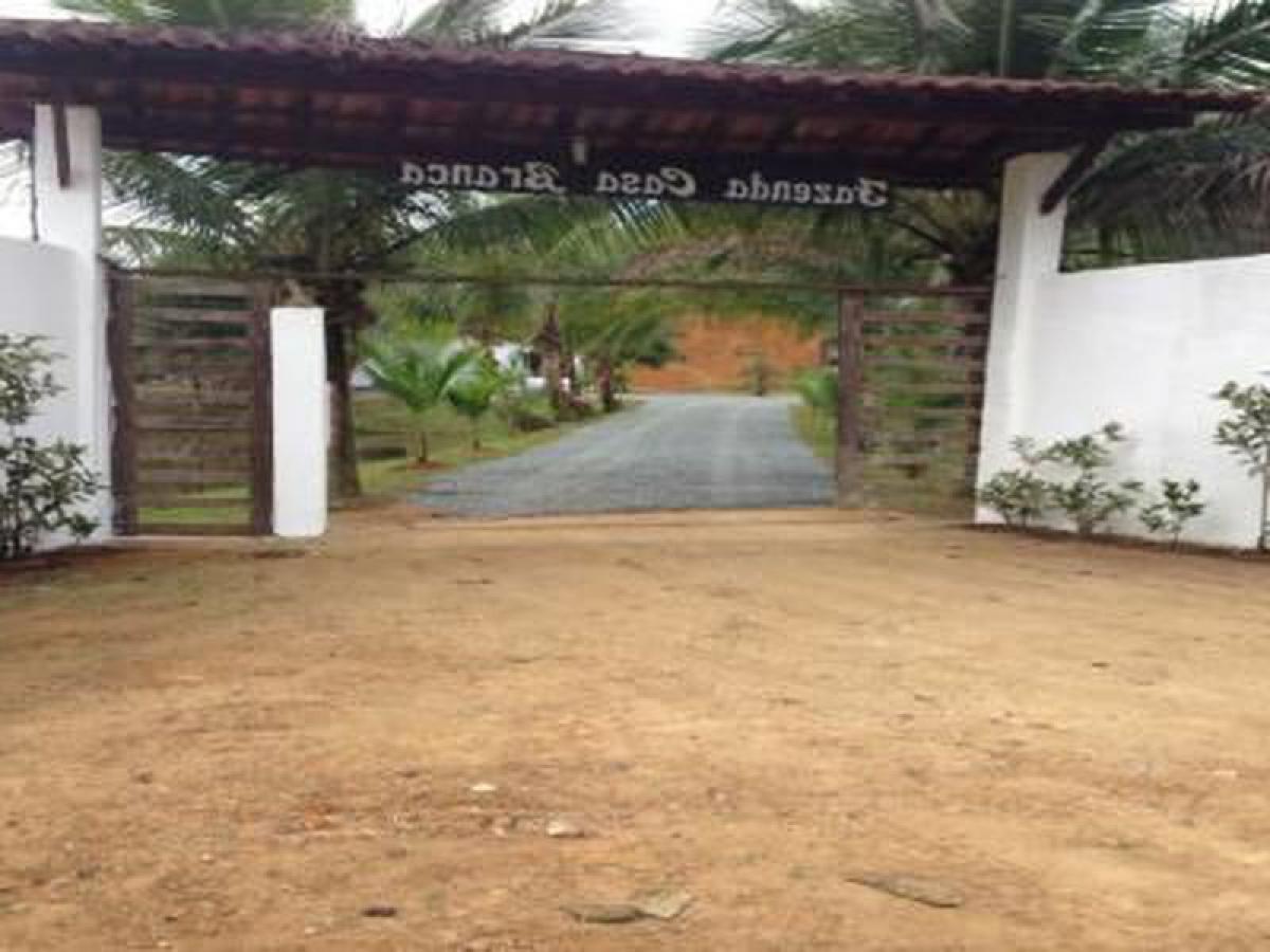 Picture of Farm For Sale in Registro, Sao Paulo, Brazil