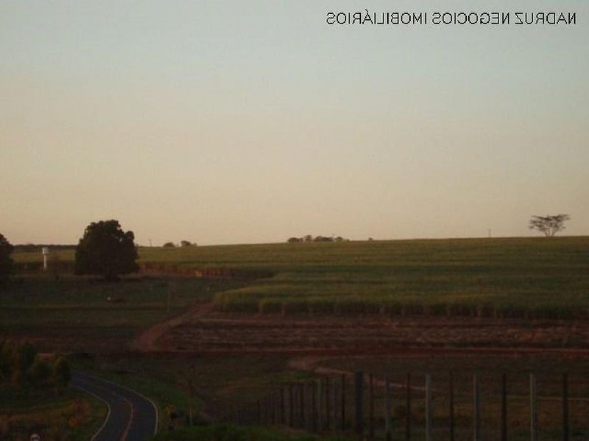 Picture of Farm For Sale in Sao Jose Do Rio Preto, Sao Paulo, Brazil