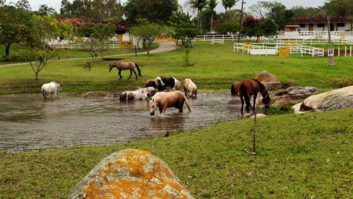 Picture of Farm For Sale in Pernambuco, Pernambuco, Brazil