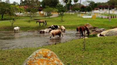 Farm For Sale in Pernambuco, Brazil
