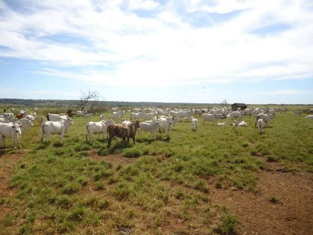 Picture of Farm For Sale in Rondonopolis, Mato Grosso, Brazil