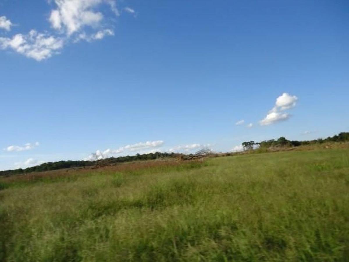 Picture of Farm For Sale in Rondonopolis, Mato Grosso, Brazil