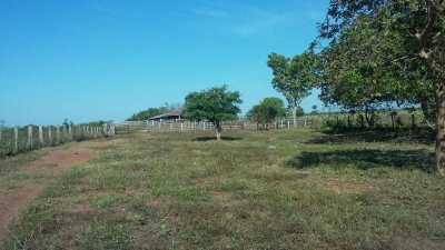 Farm For Sale in Rondonopolis, Brazil