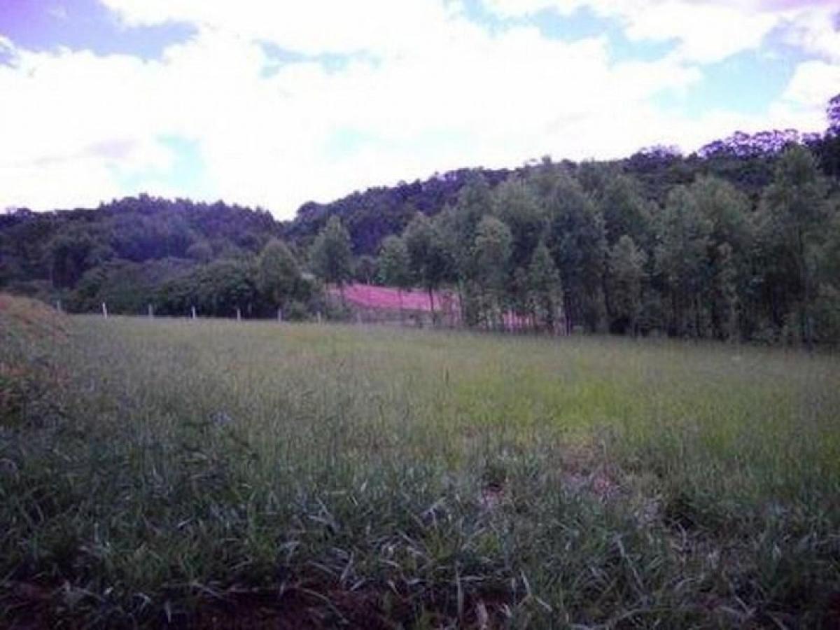 Picture of Residential Land For Sale in Ibiuna, Sao Paulo, Brazil