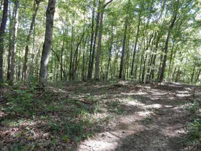 Raw Land For Sale in Charlotte, Tennessee