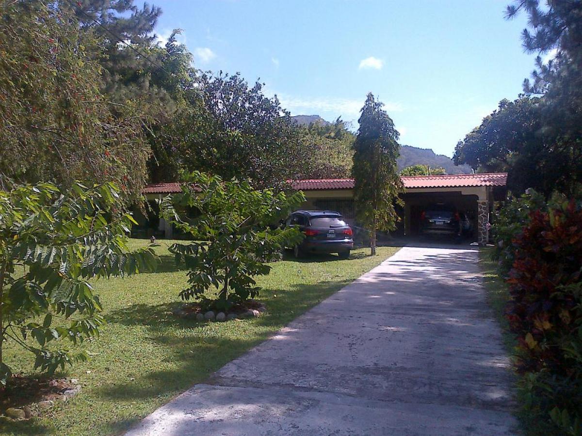 Picture of Home For Sale in Sora, Chame, Panama