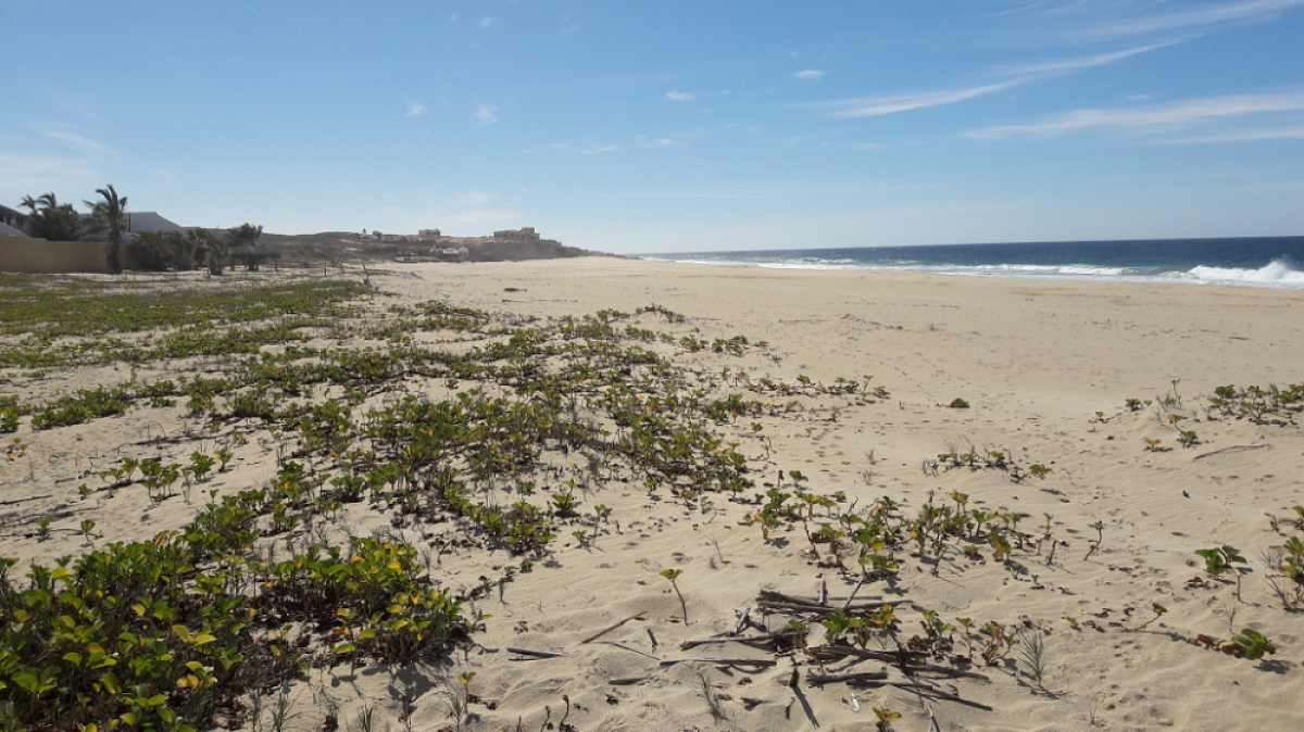 Picture of Commercial Land For Sale in Los Cabos, Baja California Sur, Mexico