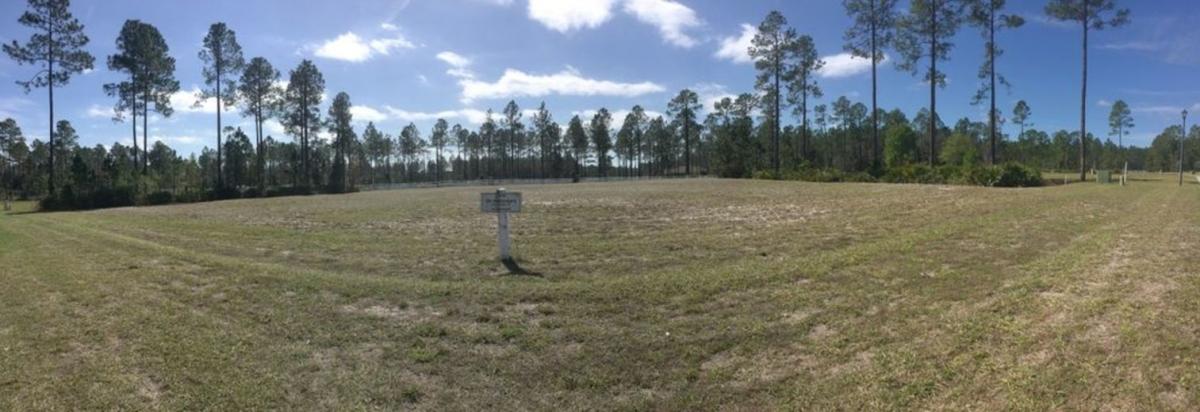 Picture of Residential Land For Sale in Jacksonville, Florida, United States