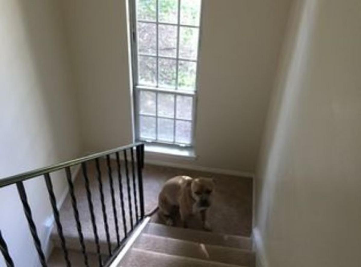 Picture of Home For Sale in Clifton Park, New York, United States