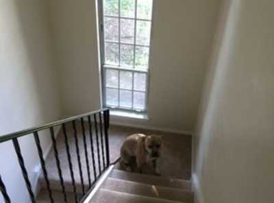 Home For Sale in Clifton Park, New York