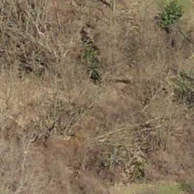 Residential Land For Sale in Syracuse, New York