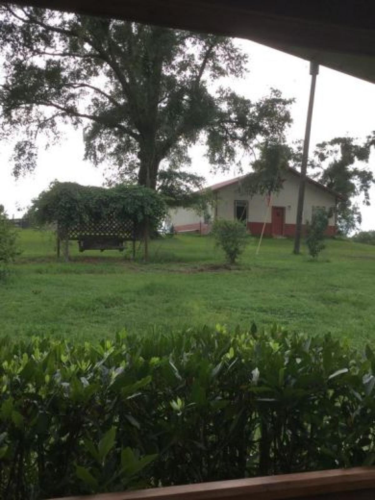 Picture of Home For Sale in Eustis, Florida, United States