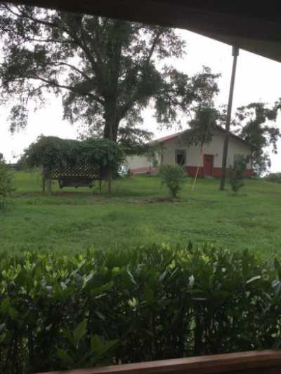 Home For Sale in Eustis, Florida