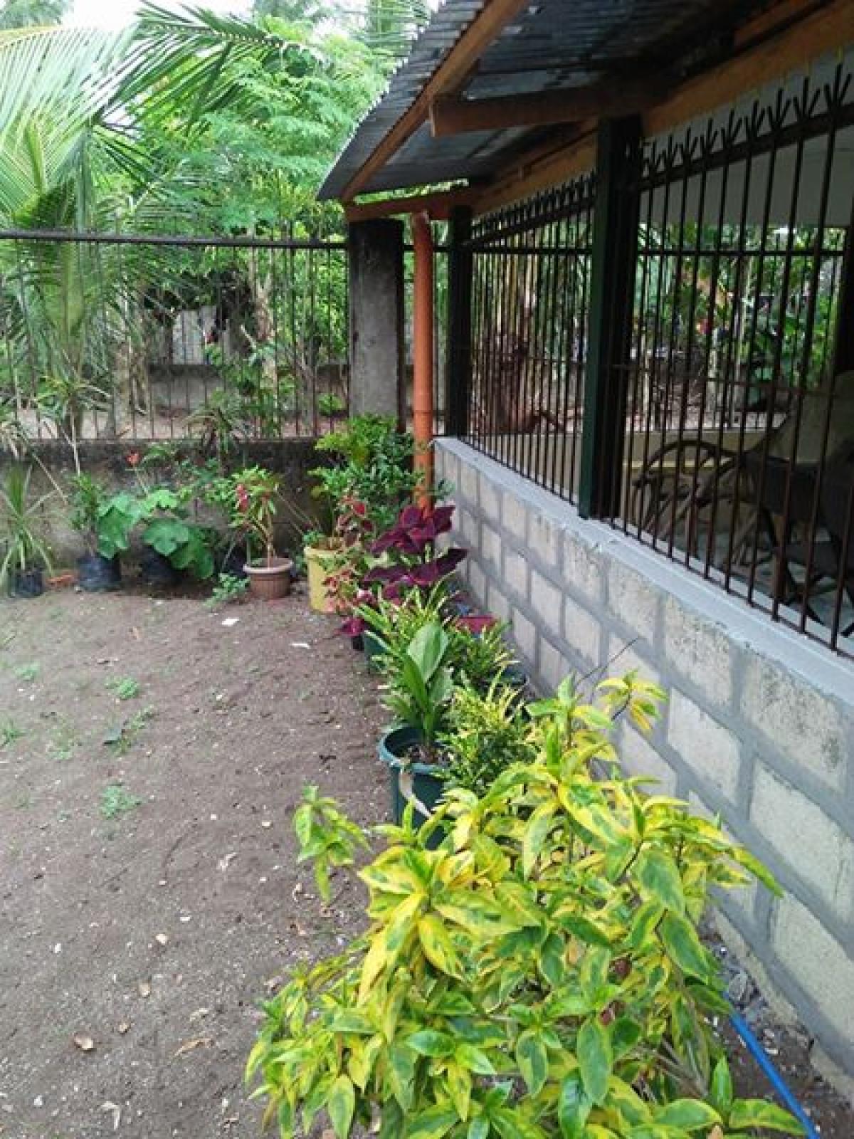 Picture of Home For Sale in Cebu City, Cebu, Philippines