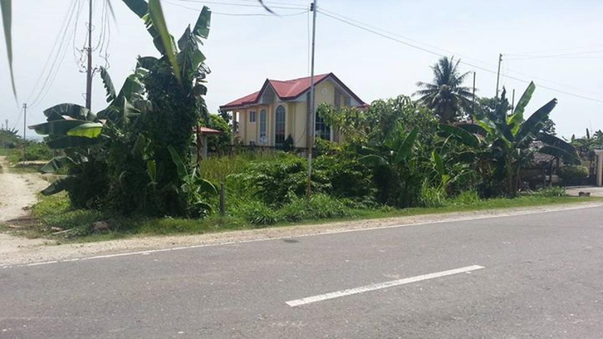 Picture of Residential Land For Sale in Cebu City, Cebu, Philippines