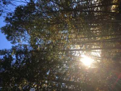 Residential Land For Sale in Halifax, Canada