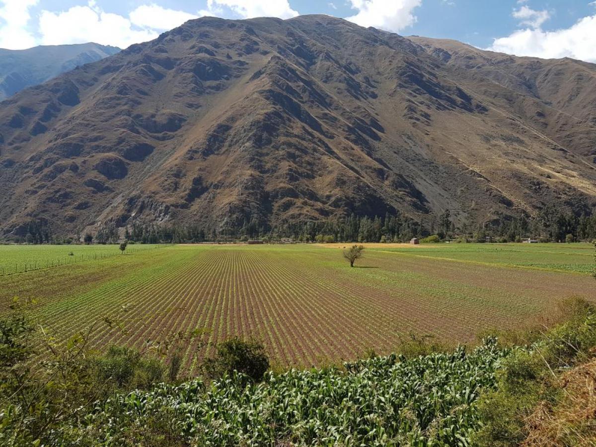 , Cusco, Cusco, Peru Residential Land For Sale at GLOBAL LISTINGS