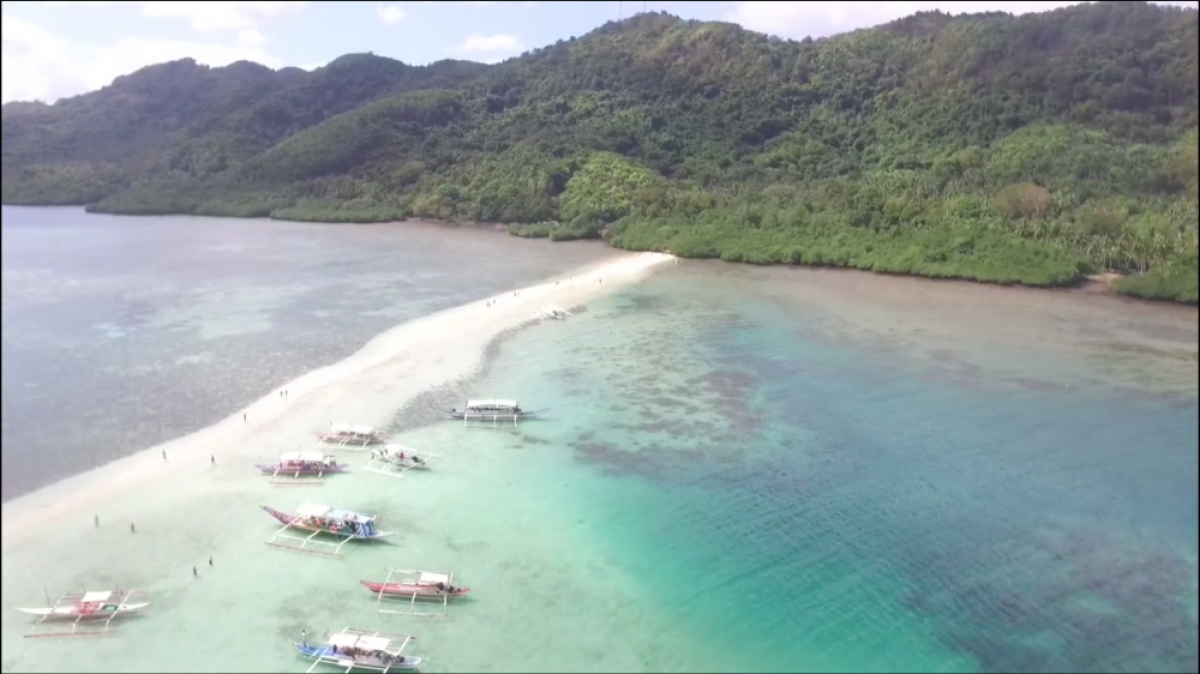 Picture of Commercial Land For Sale in Puerto Princesa, Palawan, Philippines