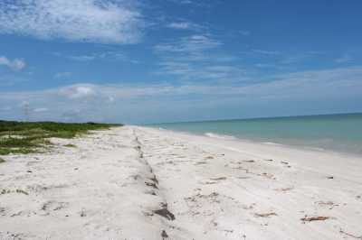 Commercial Lots For Sale in 