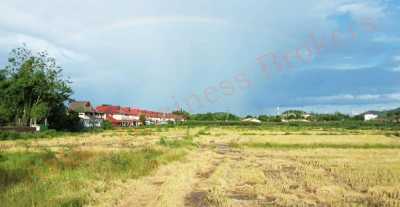 Commercial Land For Sale in Chiang Rai, Thailand