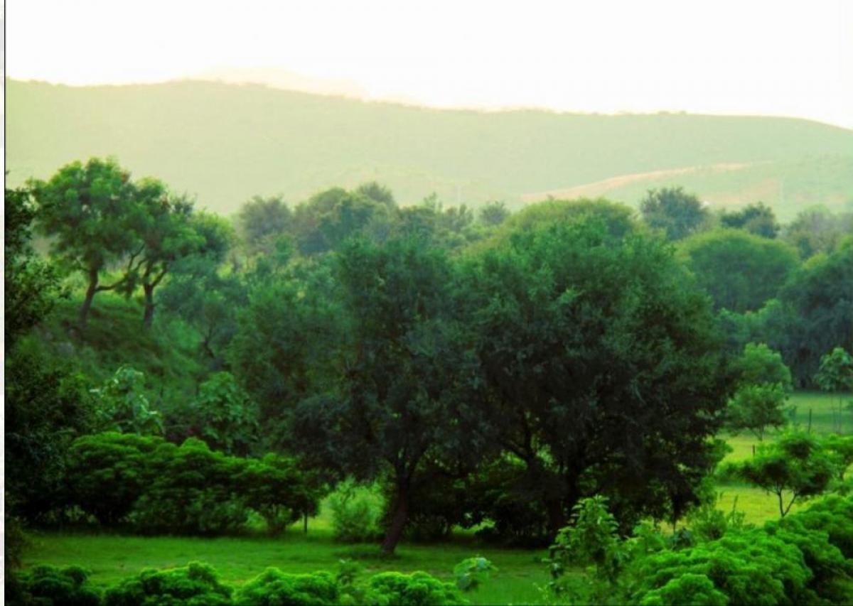 Picture of Residential Land For Sale in New Delhi, Delhi, India