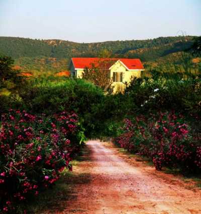 Residential Land For Sale in New Delhi, India