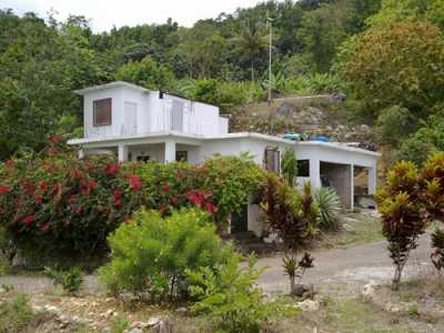 Farm For Sale in Montego Bay, Jamaica