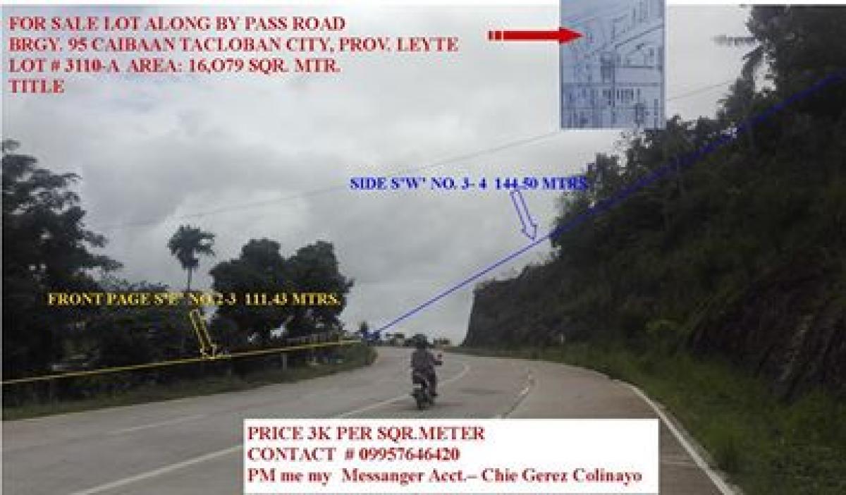Picture of Commercial Land For Sale in Cebu City, Cebu, Philippines