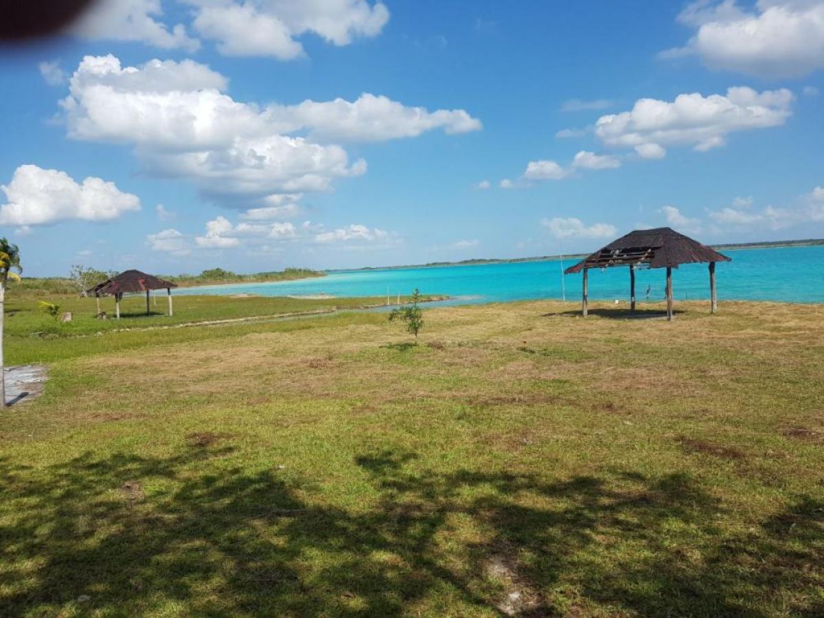 29 Hectareas of Land on Spectacular Lake Bacalar, Quintana Roo