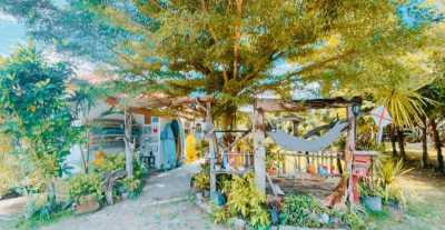 Commercial Building For Sale in 