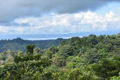 Commercial Farms For Sale in Puntarenas, Costa Rica