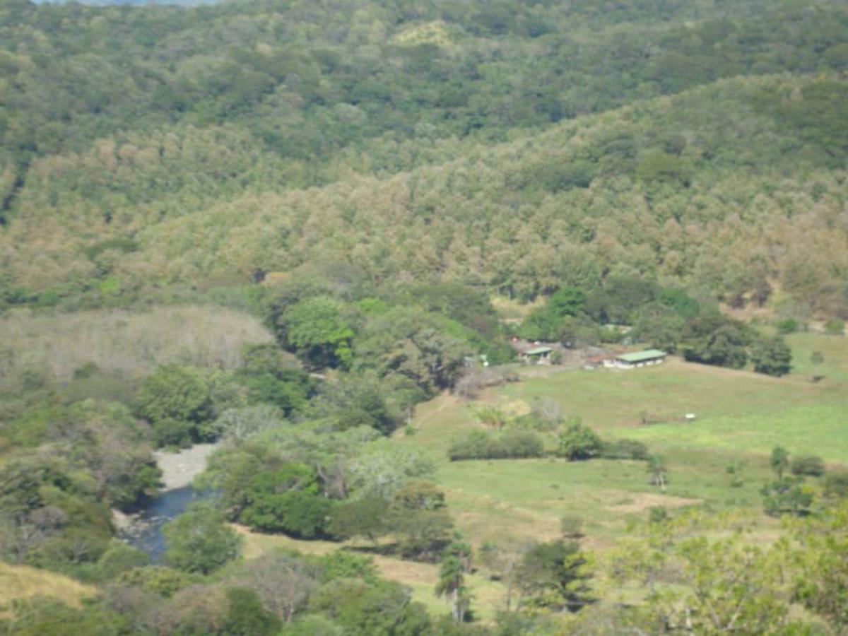 Picture of Farm For Sale in Nicoya, Guanacaste, Costa Rica