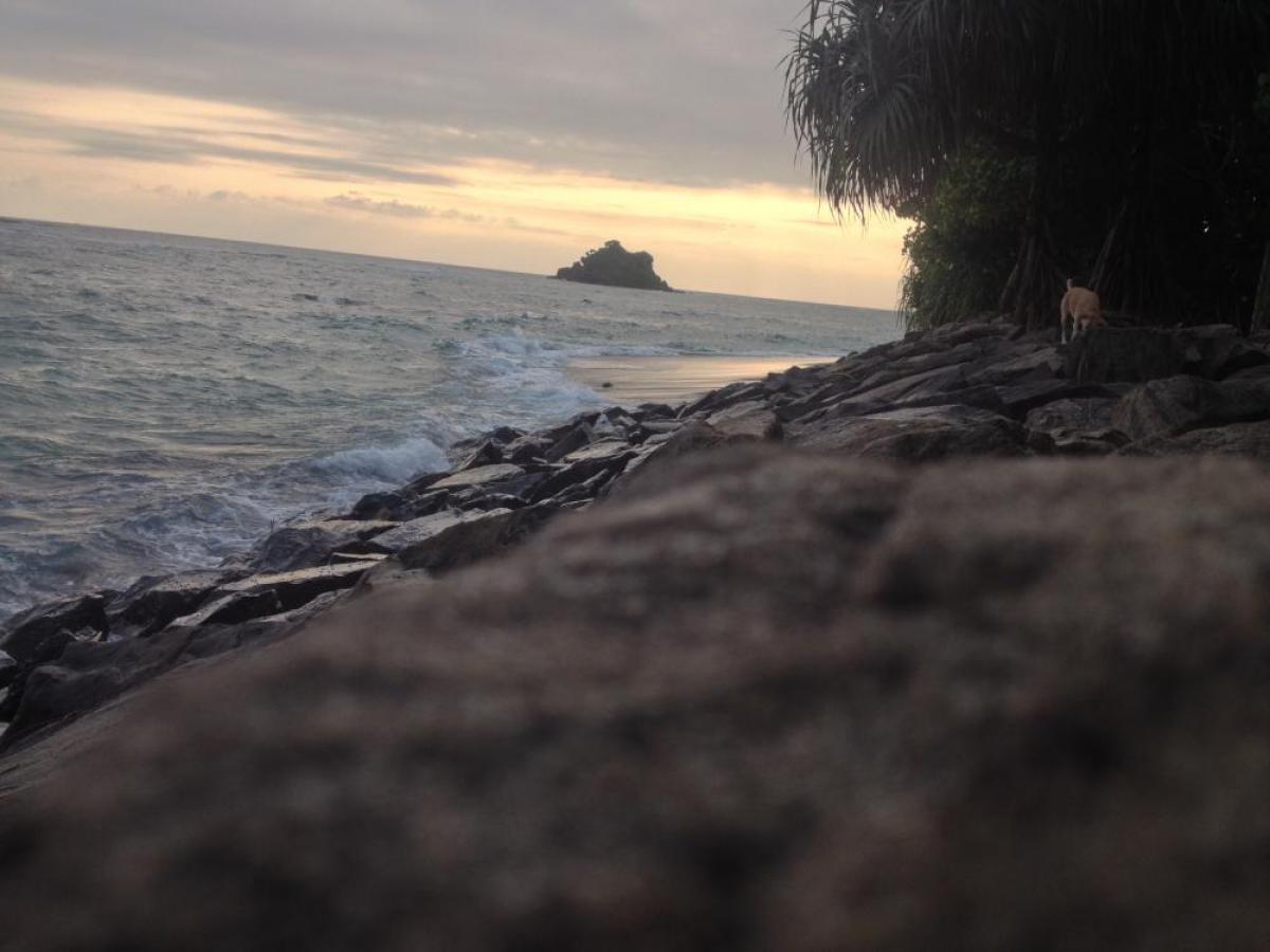 Picture of Hotel For Sale in Weligama, Matara, Sri Lanka